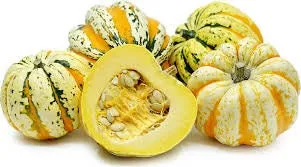 Heirloom Organic Carnival Squash Seeds